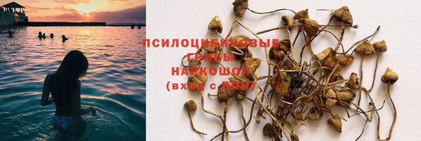 молекула духа Зеленодольск