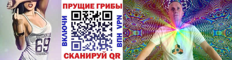 Галлюциногенные грибы Cubensis Купить где Ступино